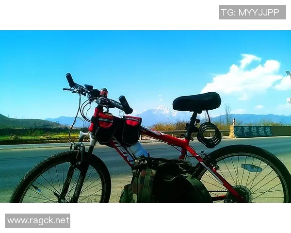 马奎斯与足球明星骑行探险共度美好时光的精彩故事 马奎斯与足球明星骑行探险共度美好时光的精彩故事