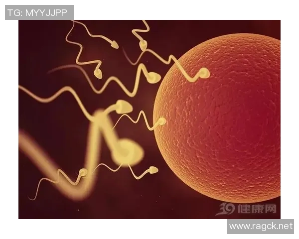 体育锻炼对男性性功能的积极影响及其生理机制探讨